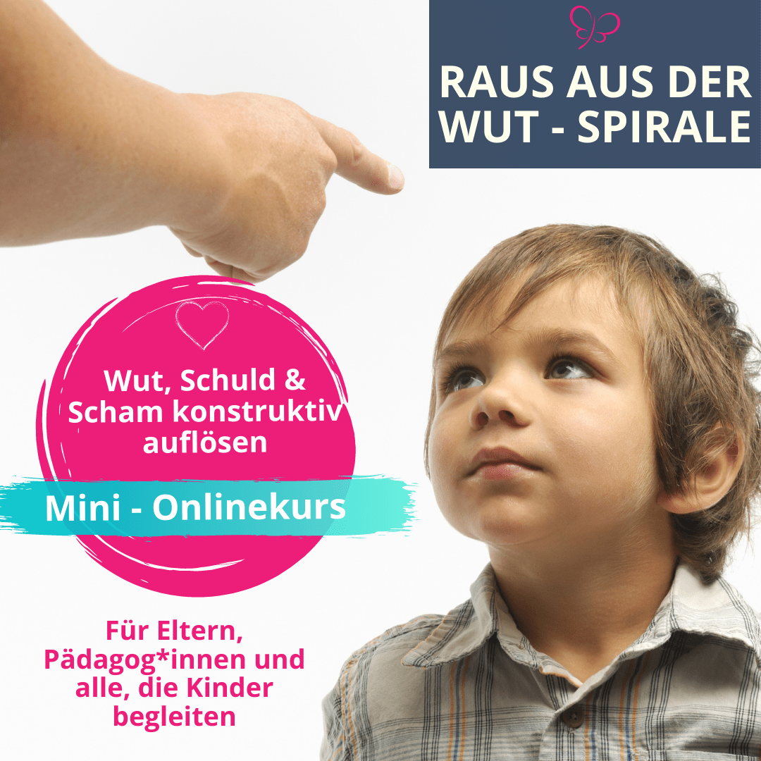 Wut Kurs Cover Wut Schuld Scham Onlinekurs